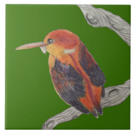 Rufous Gesteunde Kingfisher op een Keramische Tege Tegeltje