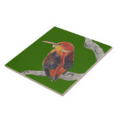 Rufous Gesteunde Kingfisher op een Keramische Tege Tegeltje (Zijkant)