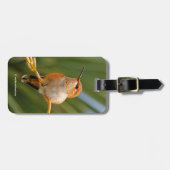 Rufous Hummingbird at Rest Bagagelabel (Voorkant horizontaal)