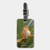 Rufous Hummingbird at Rest Bagagelabel (Voorkant verticaal)
