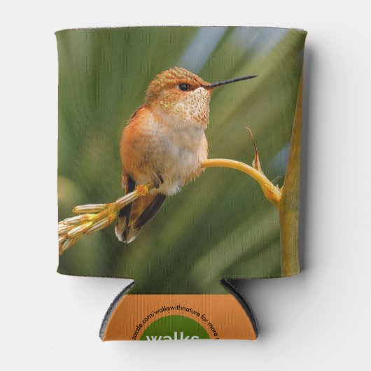 Rufous Hummingbird at Rest Blikjeskoeler (Voorkant)