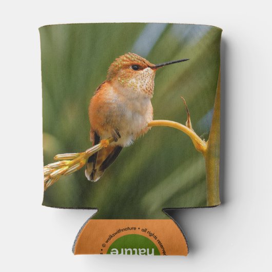 Rufous Hummingbird at Rest Blikjeskoeler (Achterkant)