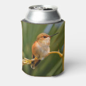 Rufous Hummingbird at Rest Blikjeskoeler (Blikje Achterkant)