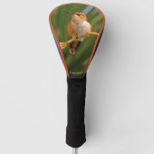 Rufous Hummingbird at Rest Golfheadcover (Voorkant)
