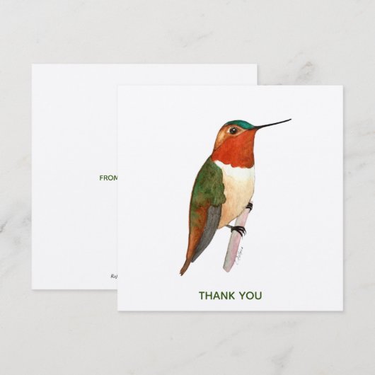 Rufous Hummingbird Bedankkaart (Voorkant / Achterkant)