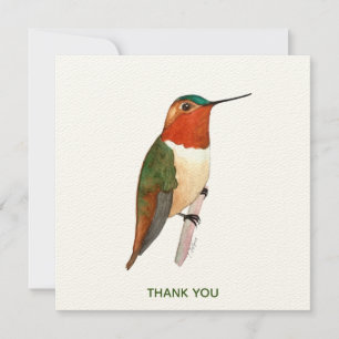 Rufous Hummingbird Bedankkaart