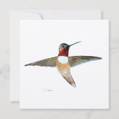 Rufous Hummingbird Bedankkaart (Voorkant)