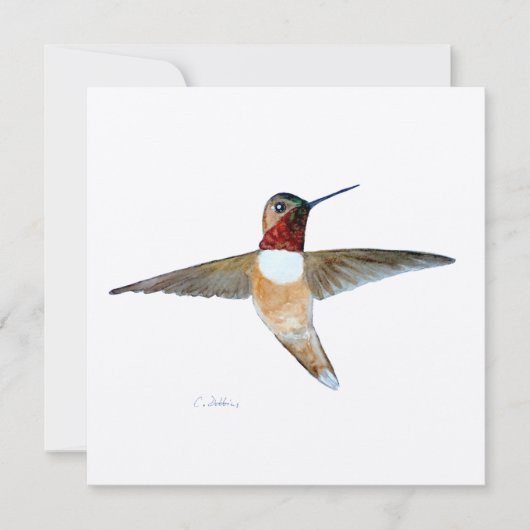 Rufous Hummingbird Bedankkaart (Voorkant)