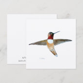Rufous Hummingbird Bedankkaart (Voorkant / Achterkant)