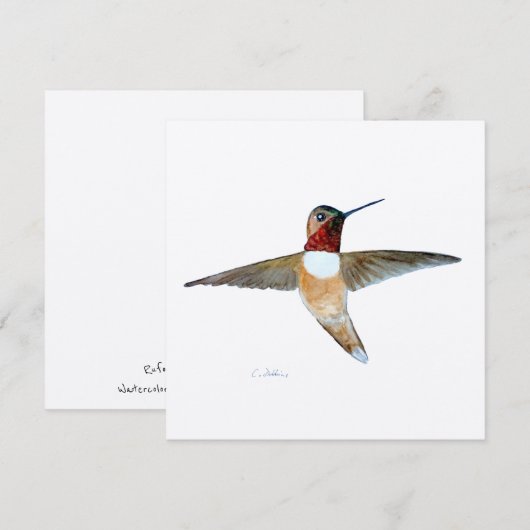 Rufous Hummingbird Bedankkaart (Voorkant / Achterkant)