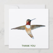 Rufous Hummingbird Bedankkaart (Voorkant)