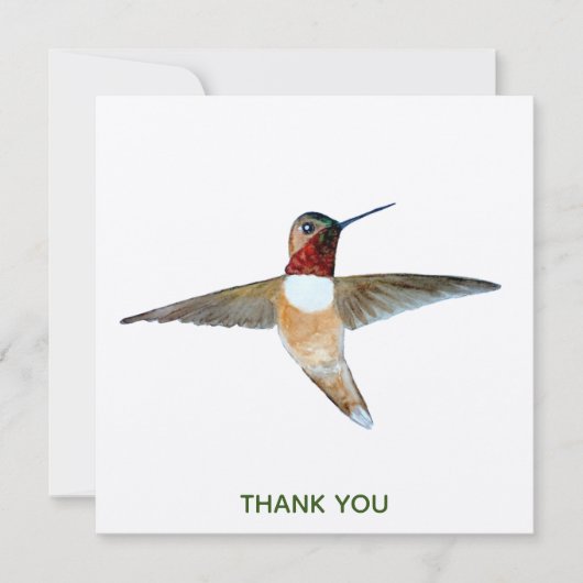 Rufous Hummingbird Bedankkaart (Voorkant)