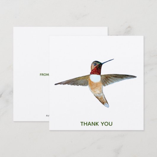 Rufous Hummingbird Bedankkaart (Voorkant / Achterkant)