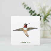 Rufous Hummingbird Bedankkaart (Staand voorkant)