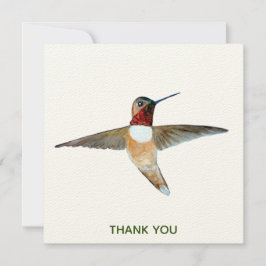 Rufous Hummingbird Bedankkaart