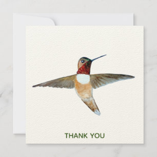 Rufous Hummingbird Bedankkaart