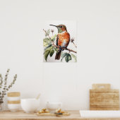 Rufous Hummingbird Bird Art Print Poster (Keuken)