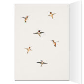 Rufous Hummingbird Birthday Kaart (Binnen (Links))
