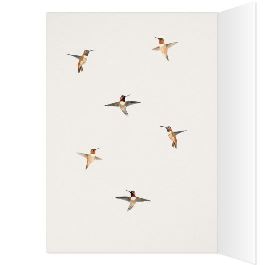 Rufous Hummingbird Birthday Kaart (Binnen (Links))