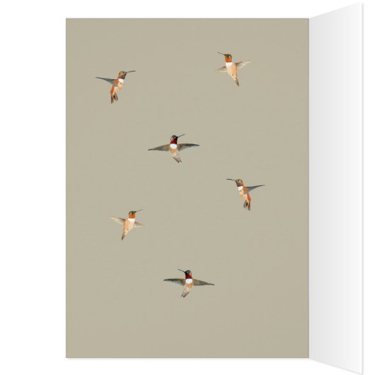 Rufous Hummingbird Birthday Kaart (Binnen (Links))