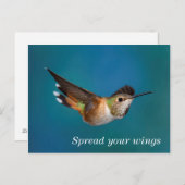 Rufous Hummingbird Briefkaart (Voorkant / Achterkant)