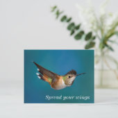 Rufous Hummingbird Briefkaart (Staand voorkant)