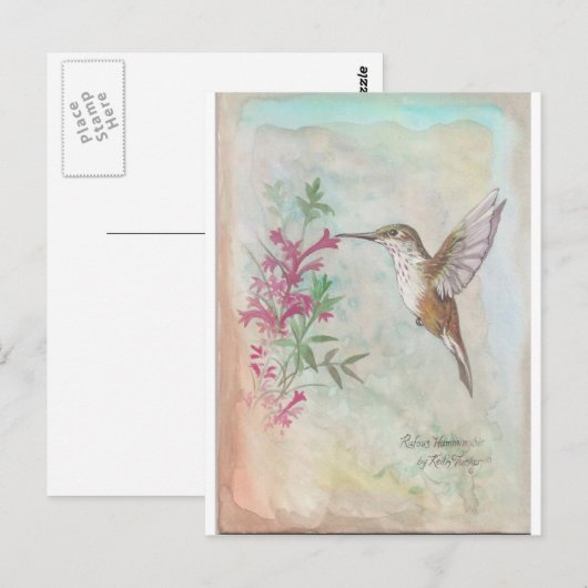 Rufous Hummingbird Briefkaart (Voorkant / Achterkant)
