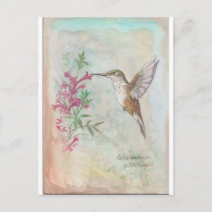 Rufous Hummingbird Briefkaart