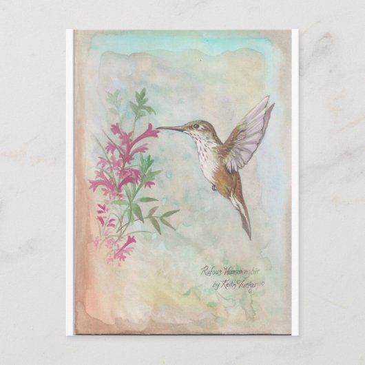 Rufous Hummingbird Briefkaart (Voorkant)