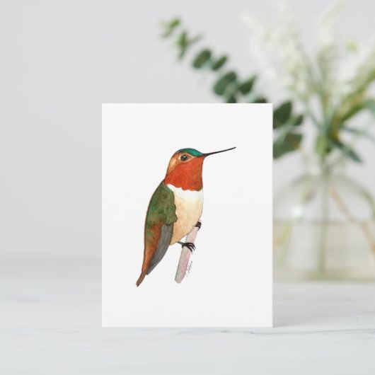 Rufous Hummingbird Briefkaart (Staand voorkant)