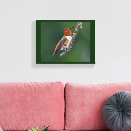 Rufous Hummingbird Canvas Afdruk (Insitu (Woonkamer))