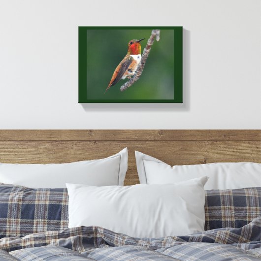 Rufous Hummingbird Canvas Afdruk (Insitu (Slaapkamer))