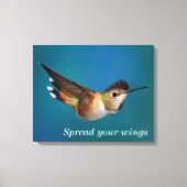 Rufous Hummingbird Canvas Afdruk (Voorkant)
