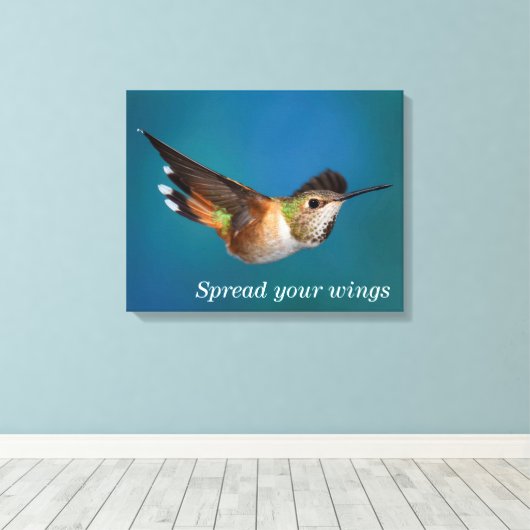 Rufous Hummingbird Canvas Afdruk (Insitu (Houten vloer))