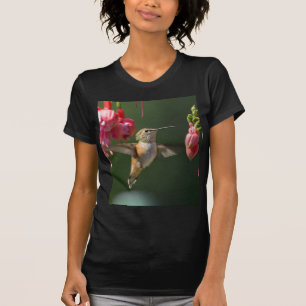 Rufous Hummingbird feed on a Fuchsia T-shirt