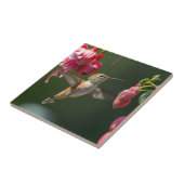 Rufous Hummingbird feed on a Fuchsia Tegeltje (Zijkant)