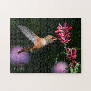 Rufous Hummingbird Feeding on the Anise Hyssop Legpuzzel