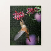 Rufous Hummingbird Feeding on the Anise Hyssop Legpuzzel (Verticaal)