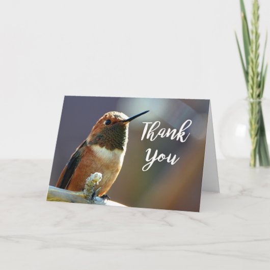 Rufous Hummingbird Foto Hartelijk dank Bedankkaart (Voorkant)