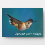 Rufous Hummingbird Fotoplaat (voorkant)