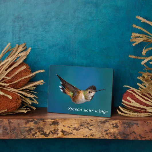 Rufous Hummingbird Fotoplaat (Zijkant)