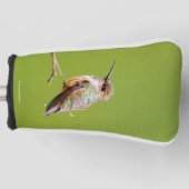 Rufous Hummingbird in Californië Lila Golfheadcover (Voorkant)