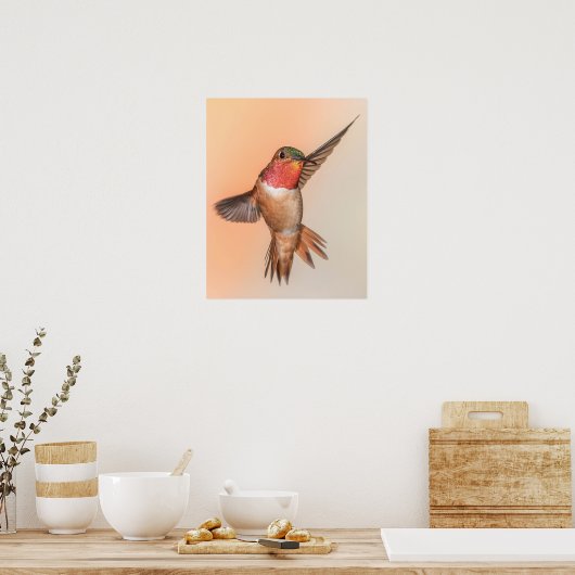 Rufous Hummingbird in een mooie Pose Poster (Keuken)