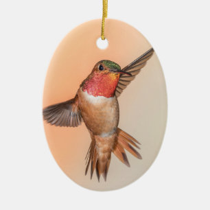 Rufous Hummingbird in Flight Monogram Name Keramisch Ornament