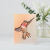 Rufous Hummingbird in the Stunning Pose Briefkaart (Staand voorkant)