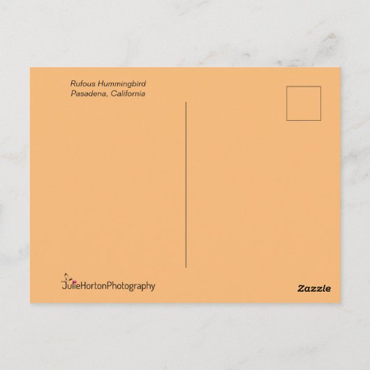 Rufous Hummingbird in the Stunning Pose Briefkaart (Achterkant)