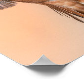 Rufous Hummingbird in the Stunning Pose Poster (Hoek)