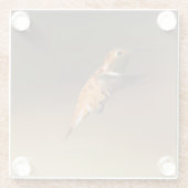 Rufous Hummingbird in vlucht Glazen Onderzetter (Achterkant)
