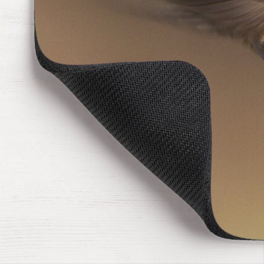 Rufous Hummingbird in vlucht Muismat (Hoek)