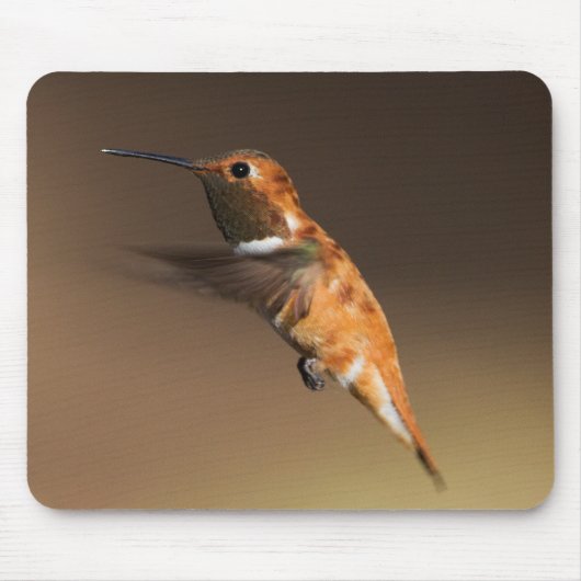 Rufous Hummingbird in vlucht Muismat (Voorkant)